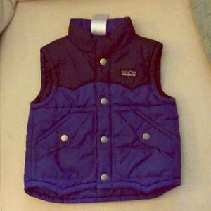 Patagonia Puffer Vest